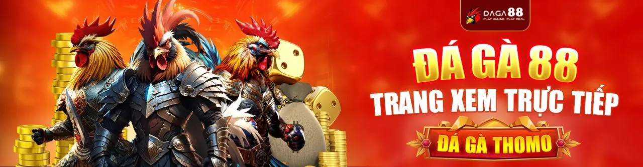 Đá Gà Trực Tuyến kkwin03 Nhà Cái